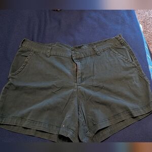 Lane Bryant Classic Women's Dark Blue Casual Shorts